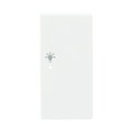 Wippe 2-fach rechts, mit Symbol "Licht"