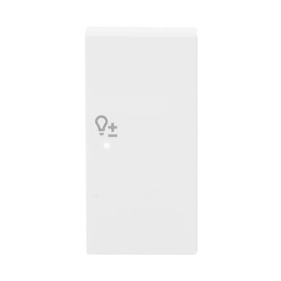 Wippe 2-fach rechts, mit Symbol "Dimmer"   