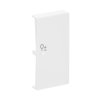 Wippe 2-fach rechts, mit Symbol "Dimmer"   