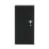 Wippe 2-fach links, mit Symbol "Licht"   