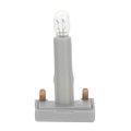 Steck-Glühlampe