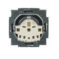 SCHUKO® Steckdosen-Einsatz mit Beschriftungsfeld edelstahl - pur edelstahl