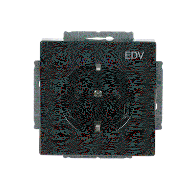 SCHUKO® Steckdosen-Einsatz mit Aufdruck EDV Safety+ anthrazit - Plattform 63