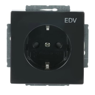 SCHUKO® Steckdosen-Einsatz mit Aufdruck EDV Safety+ anthrazit - Plattform 63