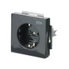 SCHUKO® Steckdosen-Einsatz mit Aufdruck EDV Safety+ anthrazit - Plattform 63
