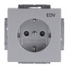 SCHUKO® Steckdosen-Einsatz mit Aufdruck EDV Safety+ alusilber - Plattform 63