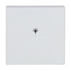 Wippe 1-fach, mit Symbol "Licht"   