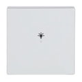 Wippe 1-fach, mit Symbol "Licht"