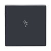 Wippe 1-fach, mit Symbol "Dimmer"   