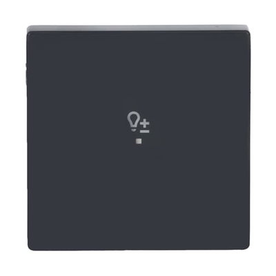 Wippe 1-fach, mit Symbol "Dimmer"