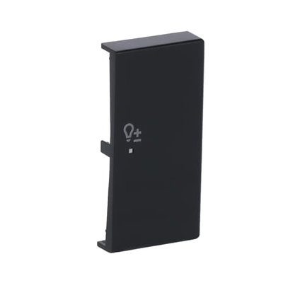 Wippe 2-fach rechts, mit Symbol "Dimmer"   