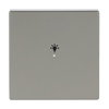 Wippe 1-fach, mit Symbol "Licht"   