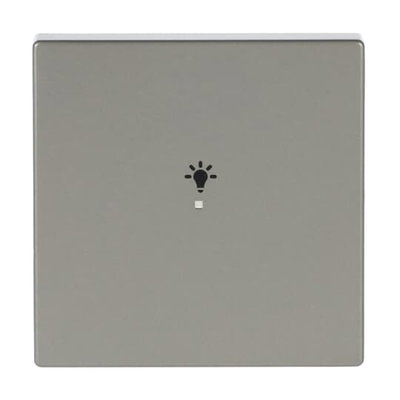 Wippe 1-fach, mit Symbol "Licht"