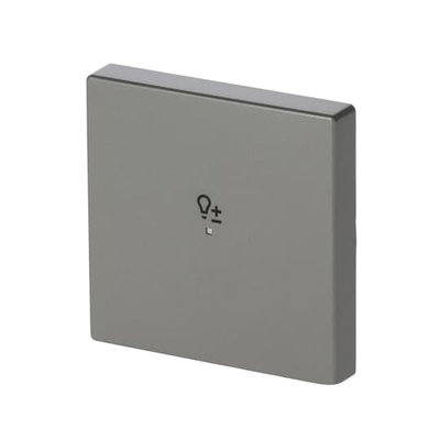 Wippe 1-fach, mit Symbol "Dimmer"   