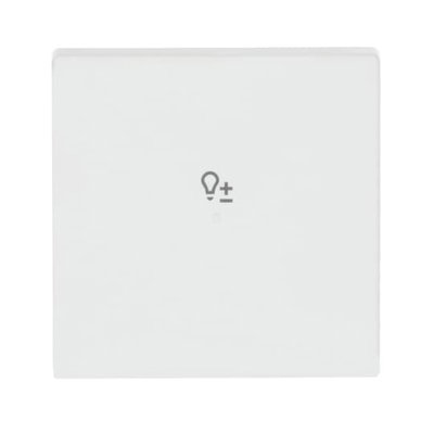 Wippe 1-fach, mit Symbol "Dimmer"   