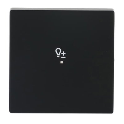 Wippe 1-fach, mit Symbol "Dimmer"