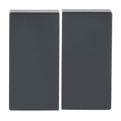 Wippe für Smart Switch 2-fach anthrazit - Plattform 63