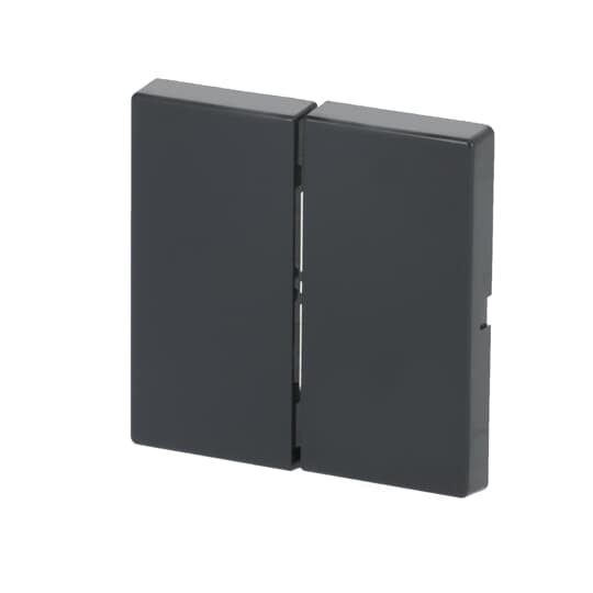 Wippe für Smart Switch 2-fach anthrazit - Plattform 63 – Bild 3 von 3