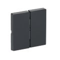 Wippe für Smart Switch 2-fach anthrazit - Plattform 63