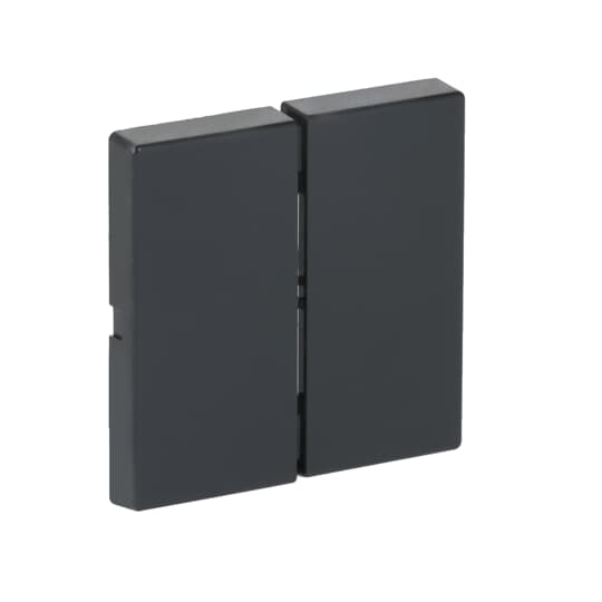 Wippe für Smart Switch 2-fach anthrazit - Plattform 63 – Bild 2 von 3