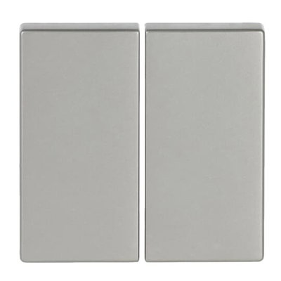 Wippe für Smart Switch 2-fach edelstahl - pur edelstahl