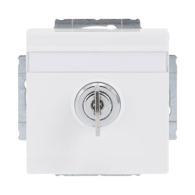 SCHUKO® Steckdosen-Einsatz Safety+ mit Klappdeckel ,