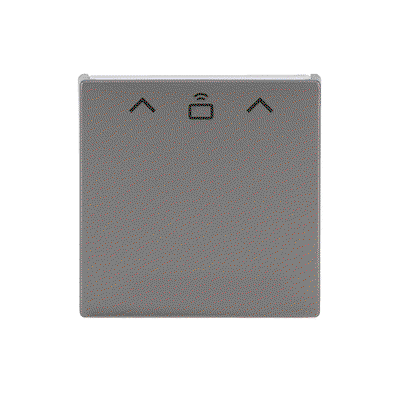 Zentralscheibe für Cardschalter RFID   