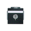 SCHUKO® Steckdosen-Einsatz Safety+ mit Klappdeckel ,