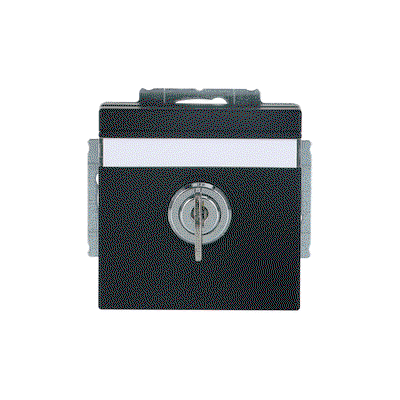 SCHUKO® Steckdosen-Einsatz Safety+ mit Klappdeckel ,