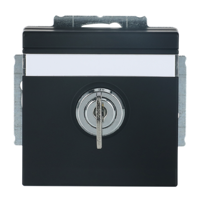 SCHUKO® Steckdosen-Einsatz Safety+ mit Klappdeckel ,