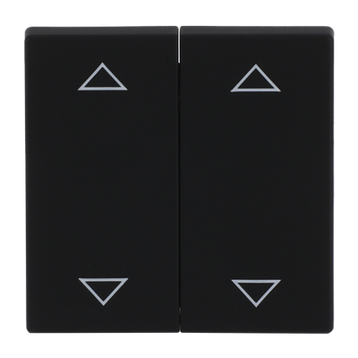 Wippe mit Aufdruck mit Symbol "Pfeil hoch/runter" KNX-Tasterankopplung   