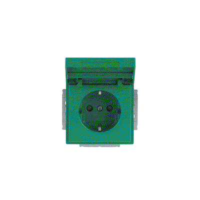 SCHUKO® Steckdosen-Einsatz Safety+ mit Klappdeckel mit Beschriftungsfeld grün -