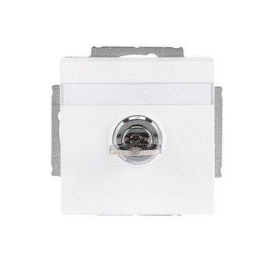 SCHUKO® Steckdosen-Einsatz Safety+ mit Klappdeckel ,