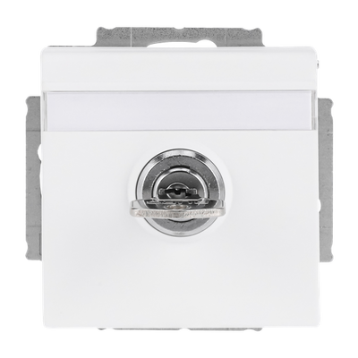 SCHUKO® Steckdosen-Einsatz Safety+ mit Klappdeckel ,