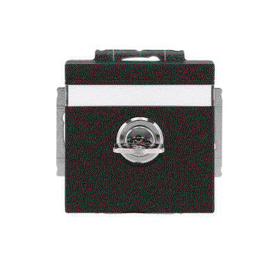 SCHUKO® Steckdosen-Einsatz Safety+ mit Klappdeckel ,