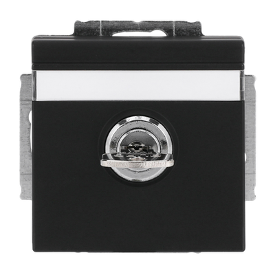 SCHUKO® Steckdosen-Einsatz Safety+ mit Klappdeckel ,