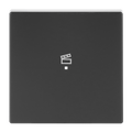 Wippe 1-fach, mit Symbol "Szene"