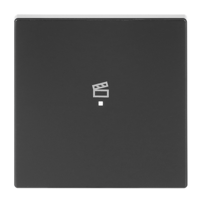 Wippe 1-fach, mit Symbol "Szene"
