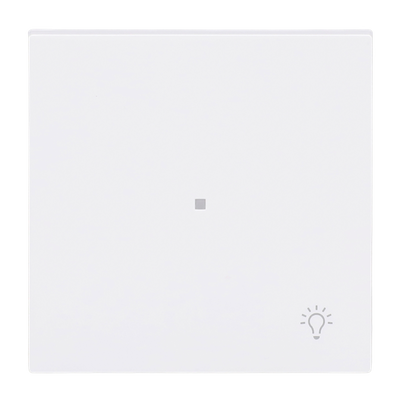 Wippe mit Aufdruck Symbol "Licht" mit kleiner transparenter Kalotte 1-fach