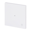 Wippe mit Aufdruck Symbol "Licht" mit kleiner transparenter Kalotte 1-fach