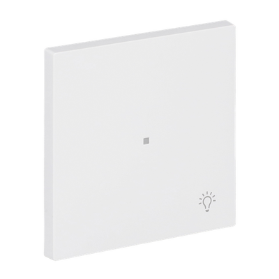 Wippe mit Aufdruck Symbol "Licht" 1-fach studioweiß matt - Busch-art linear®   