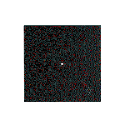 Wippe mit Aufdruck Symbol "Licht" 1-fach schwarz matt - Busch-art linear®   