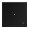 Wippe mit Aufdruck Symbol "Licht" 1-fach schwarz matt - Busch-art linear®   