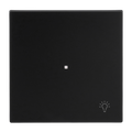Wippe mit Aufdruck Symbol "Licht" mit kleiner transparenter Kalotte 1-fach