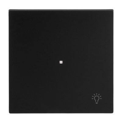 Wippe mit Aufdruck Symbol "Licht" mit kleiner transparenter Kalotte 1-fach