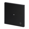 Wippe mit Aufdruck Symbol "Licht" 1-fach schwarz matt - Busch-art linear®   