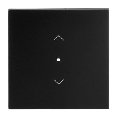 Wippe Symbol "Jalousie" 1-fach schwarz matt - Busch-art linear®   