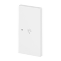 Wippe 2-fach rechts Symbol "Licht" mit kleiner transparenter Kalotte 2-fach