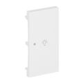 Wippe 2-fach rechts Symbol "Licht" mit kleiner transparenter Kalotte 2-fach