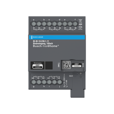 Binäreingang, 10-fach, 10-230 V, REG